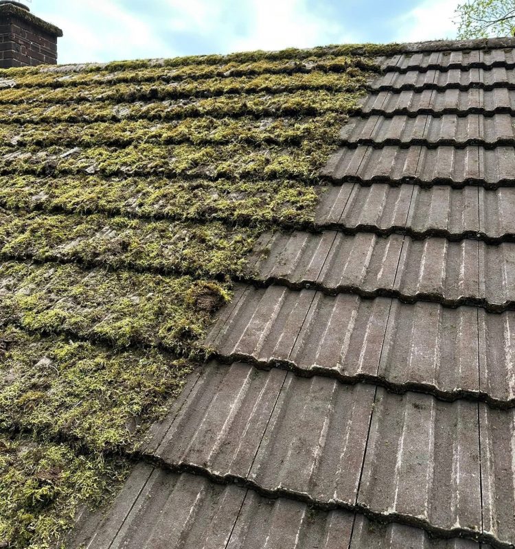 494559870_566956919759469_5671850678179423630_n